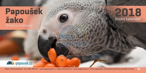 Stolní kalendář Papoušek žako 2018