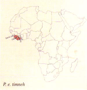 Mapa rozšíření P. e. timneh