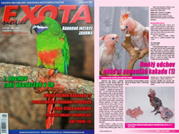 Umělý odchov mláďat papoušků kakadu, 1. část