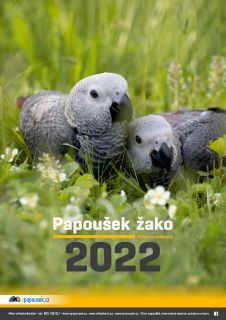 Nástěnný kalendář na rok 2022