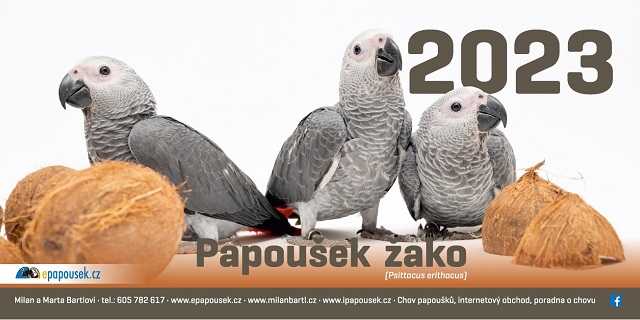 Stolní kalendář Papoušek žako 2023