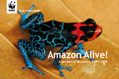 Originl zprvy Originl zprvy "Amazonia alive" ke staen ve formtu PDF